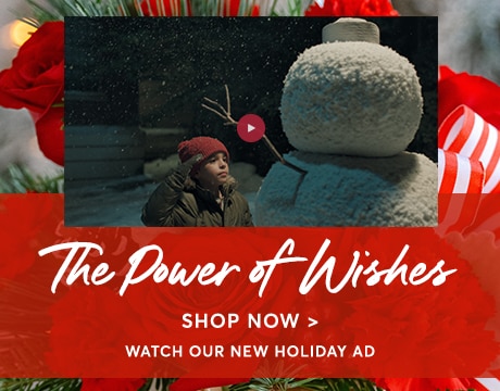 Homepage Banner with Christmas video 2024