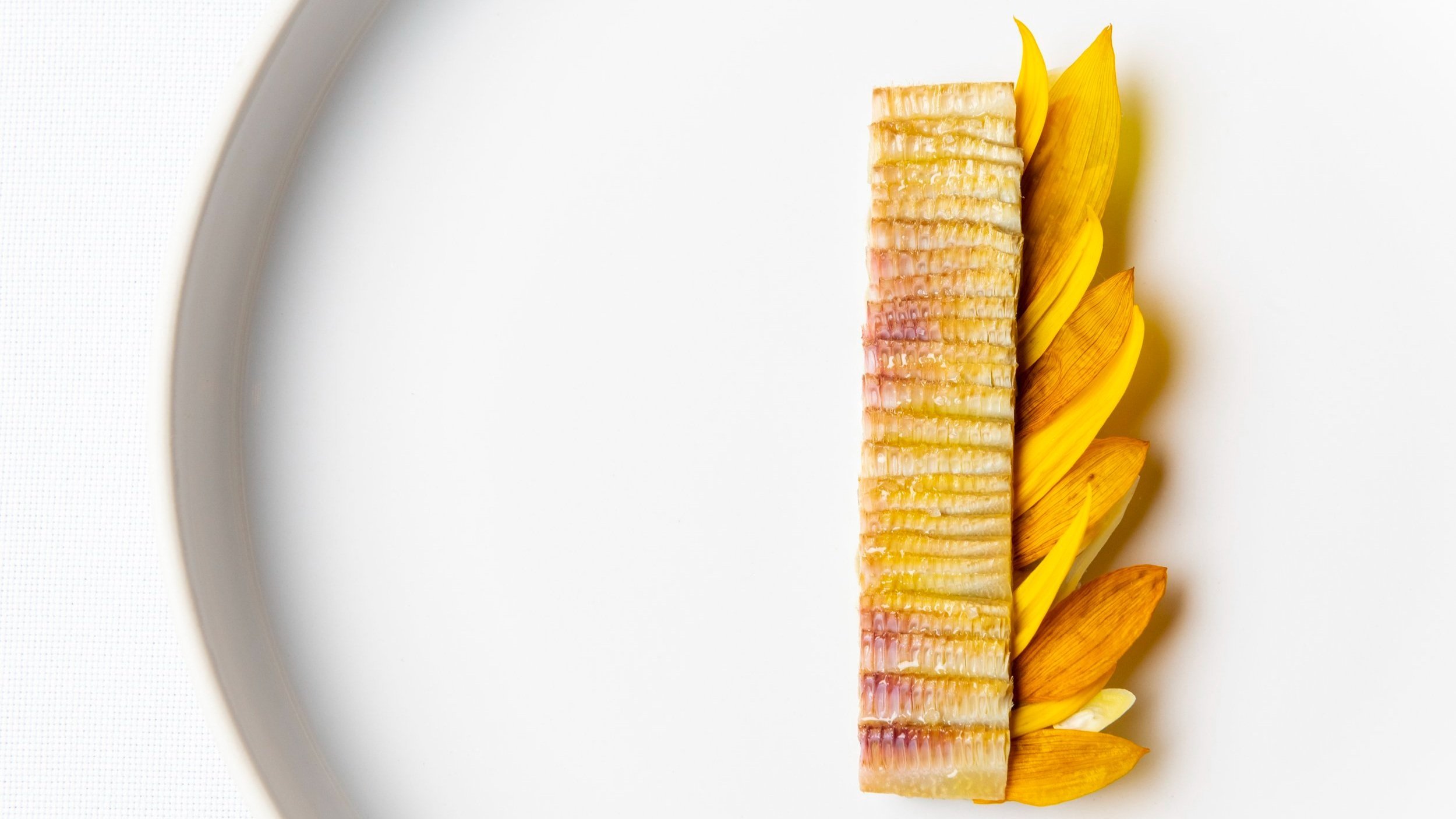 Sunflower dish on white plate