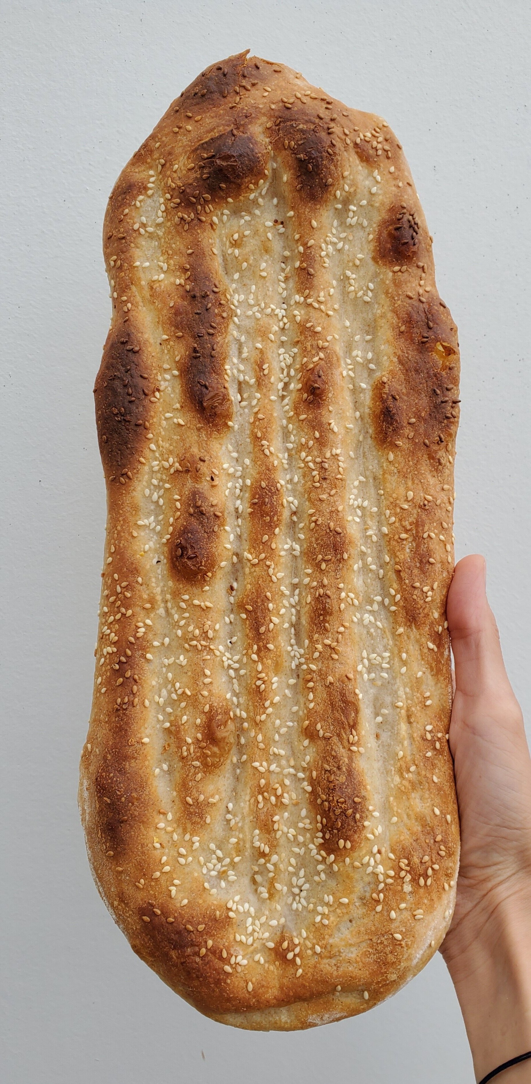 Barbari