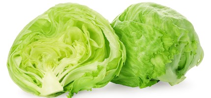 Iceberg lettuce